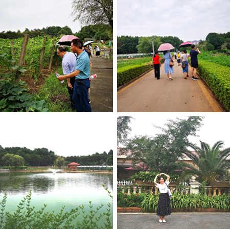 AS9YDQV4P35CANWO`Z6)@8L.png AS9YDQV4P35CANWO`Z6)@8L.png